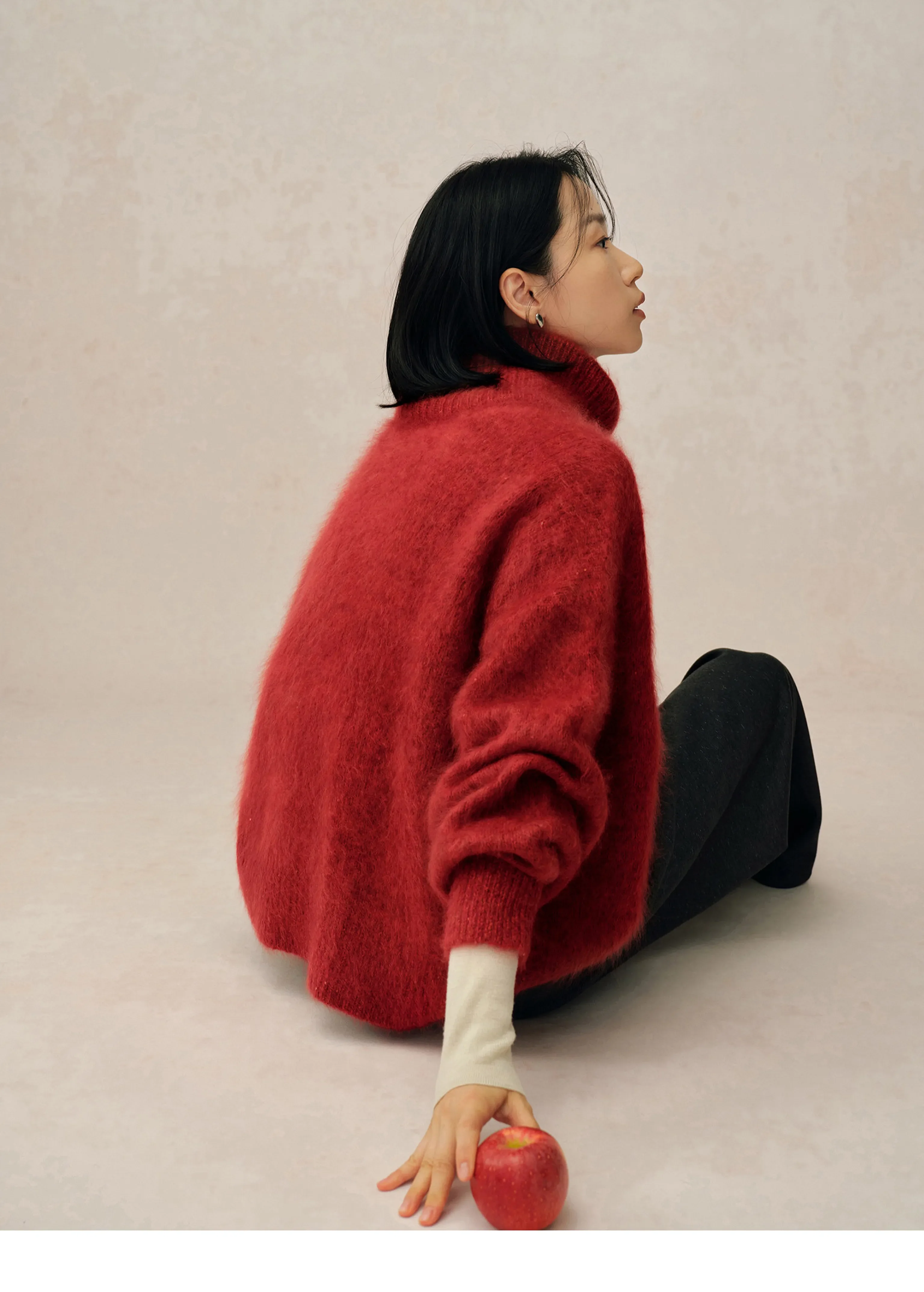 Brushed Cashmere High Neck Sweater - Image 4