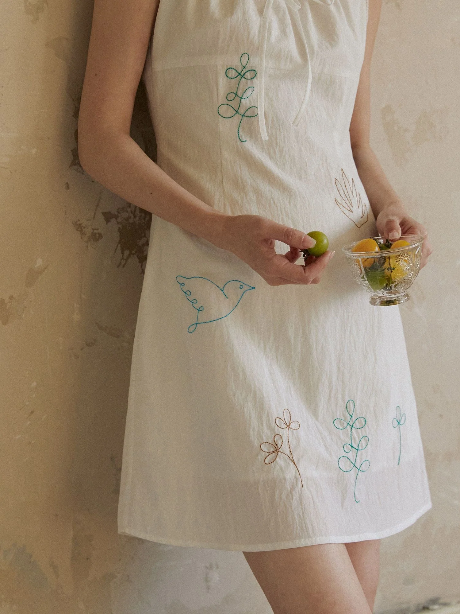 Embroidered Mini Dress
