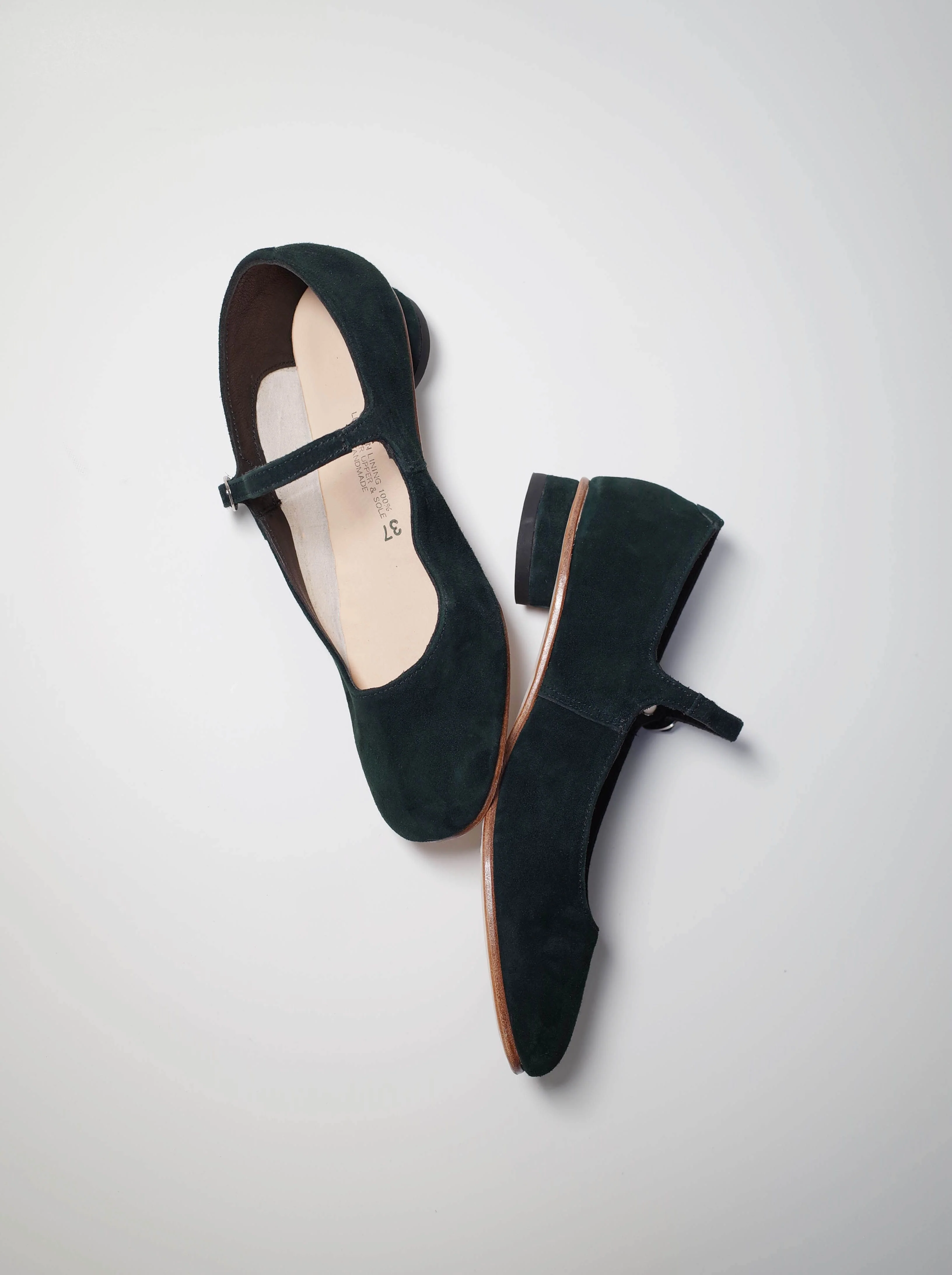 Mary Jane Thick Heel Shoes