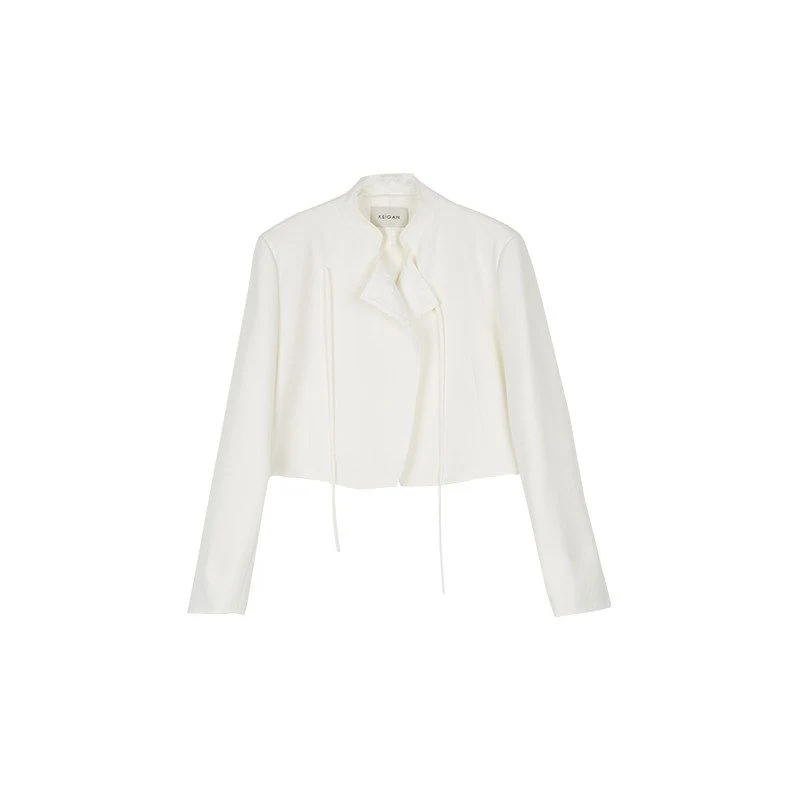 Mulberry Silk Cropped Stand-Collar Jacket - Image 5