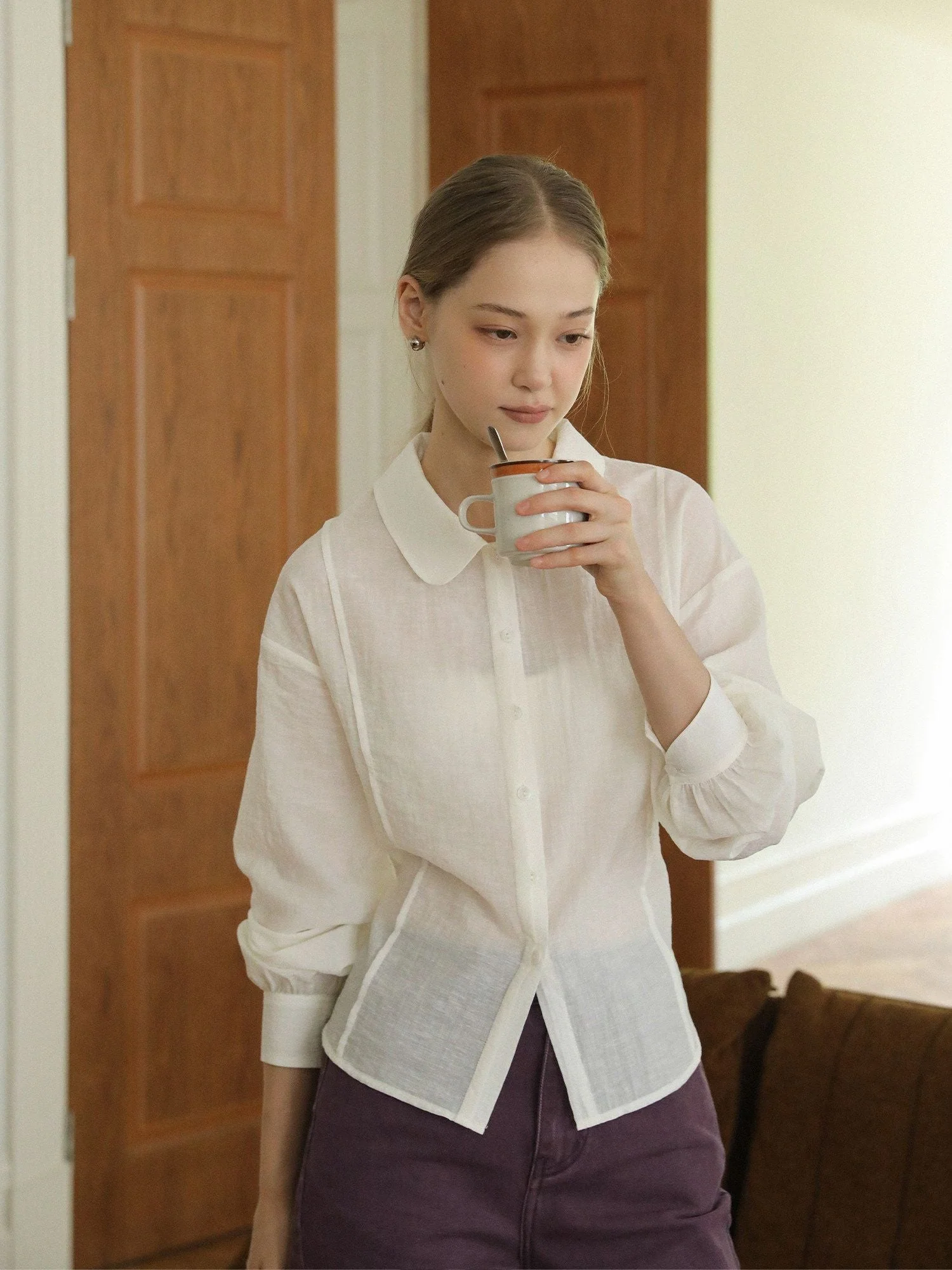 Sheer Peter Pan Blouse