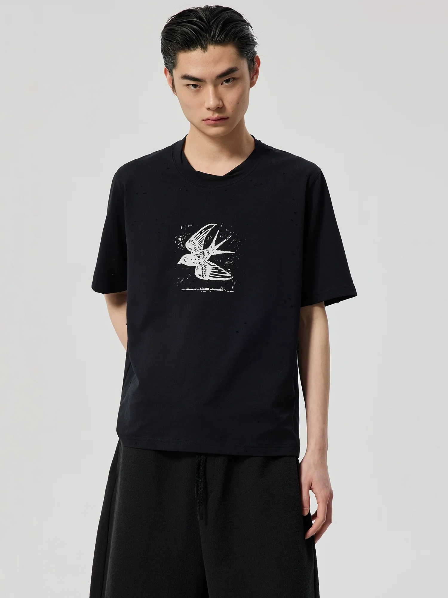 Swallow Graphic Distressed T-Shirt